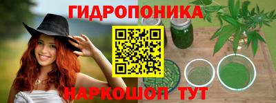 дживик Лесосибирск