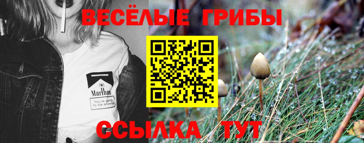 Галлюциногенные грибы Magic Shrooms Сургут